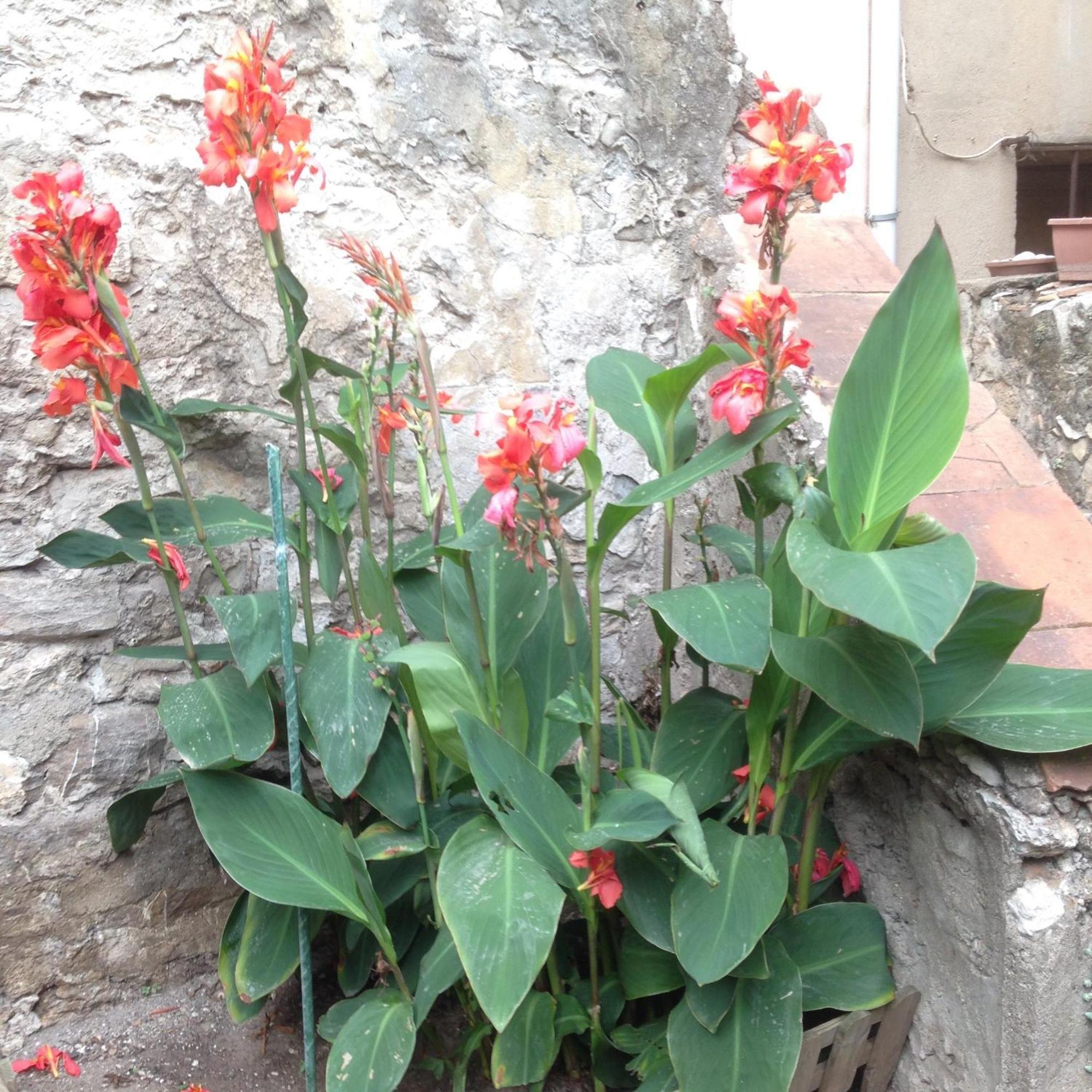 Apartmán La Terrasse Du Mole Sète Exteriér fotografie